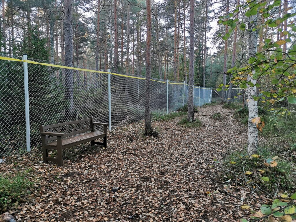 Paimion koirametsä turvallista ulkoilua omassa rauhassa